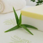 descriere-01-husa-aloe